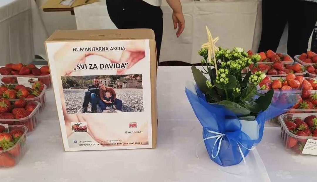 Donacijom jagoda u suradnji s TD 1.maj prikupljeno je 4.383,65 kuna za humanitarnu akciju “SVI ZA DAVIDA”