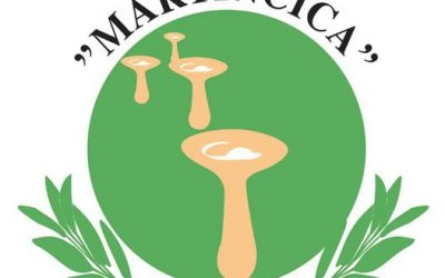 Društvo gljivara Labinšćine Martinčica prikupilo je 3.180,00 kuna za Davida !