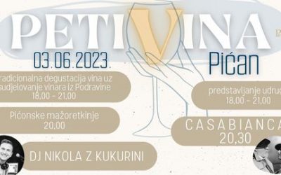 Udruga “Mendula” na PetiVina u Pićnu prikuplja sredstva “Za Danijela Sertića”